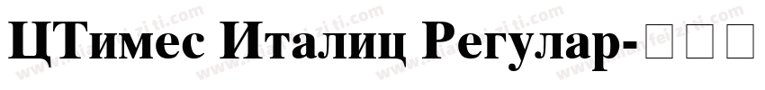 CTimes Italic Regular字体转换